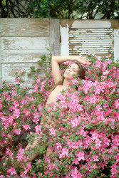 atkpremium-com-renee-pink-azaleas-image-79