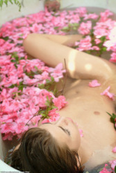 atkpremium-com-renee-pink-azaleas-image-70
