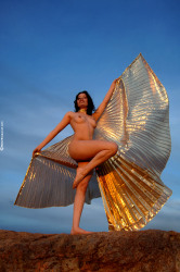 wba-dany-golden-wings-image-24