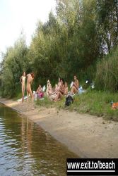 public-nude-beach-swinger-group-sex-file-of-jpg-image-80