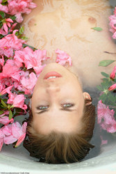 atkpremium-com-renee-pink-azaleas-image-1