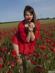 maya-red-poppies-image-96
