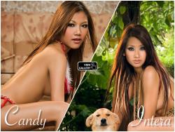 playboy-thailand-asian-angels-image-41