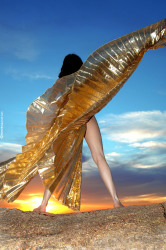 wba-dany-golden-wings-image-19