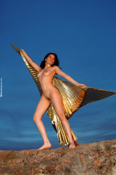 wba-dany-golden-wings-image-11