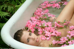atkpremium-com-renee-pink-azaleas-image-92
