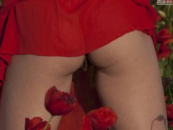 maya-red-poppies-image-36