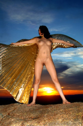 wba-dany-golden-wings-image-28